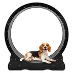 Cats Exercise Running Wheel