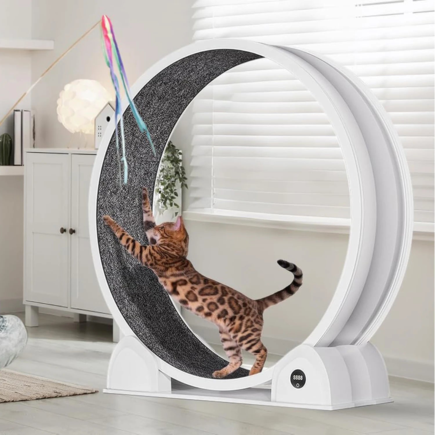Cat Exercise Wheel for Indoor Cats,