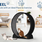Cat Exercise Wheel for Indoor Cats,