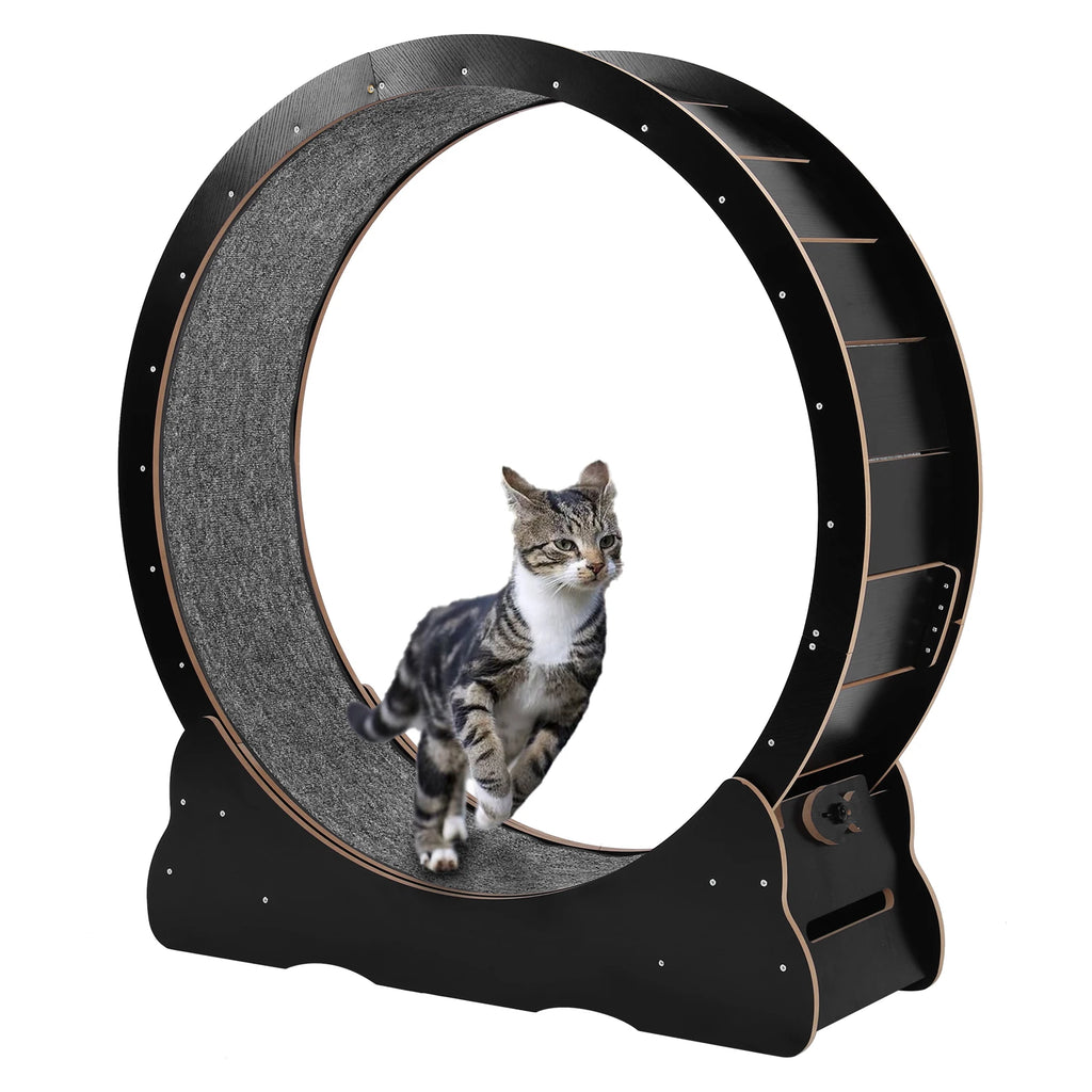 Cats Exercise Running Wheel