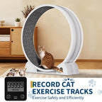 Cat Exercise Wheel for Indoor Cats,
