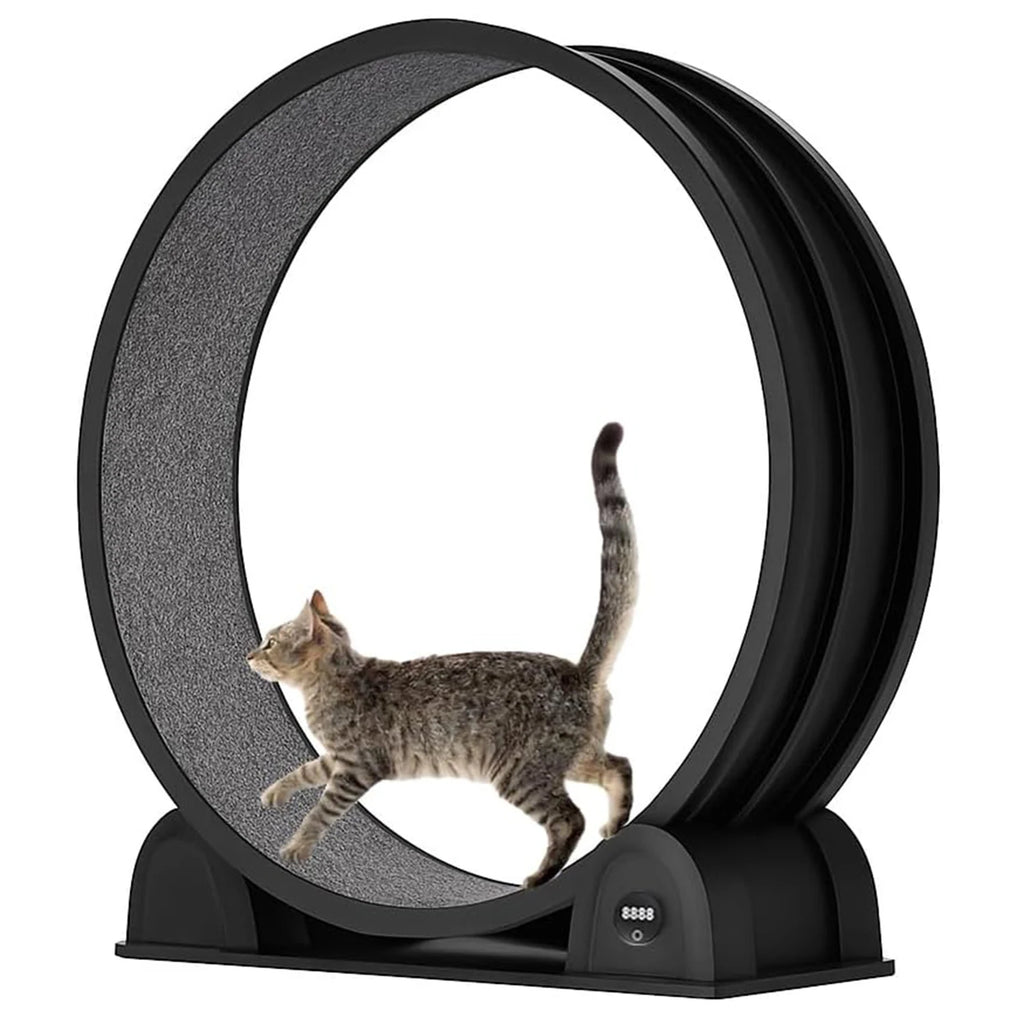 Cat Exercise Wheel for Indoor Cats,
