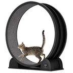 Cat Exercise Wheel for Indoor Cats,