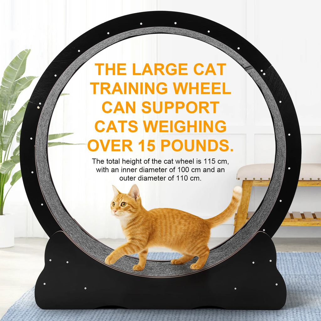 Cats Exercise Running Wheel