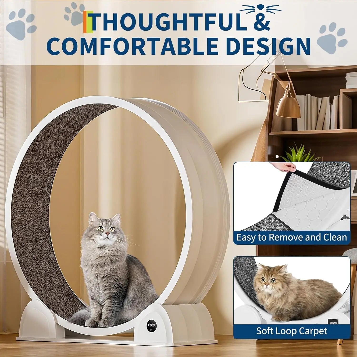 Cat Exercise Wheel for Indoor Cats,