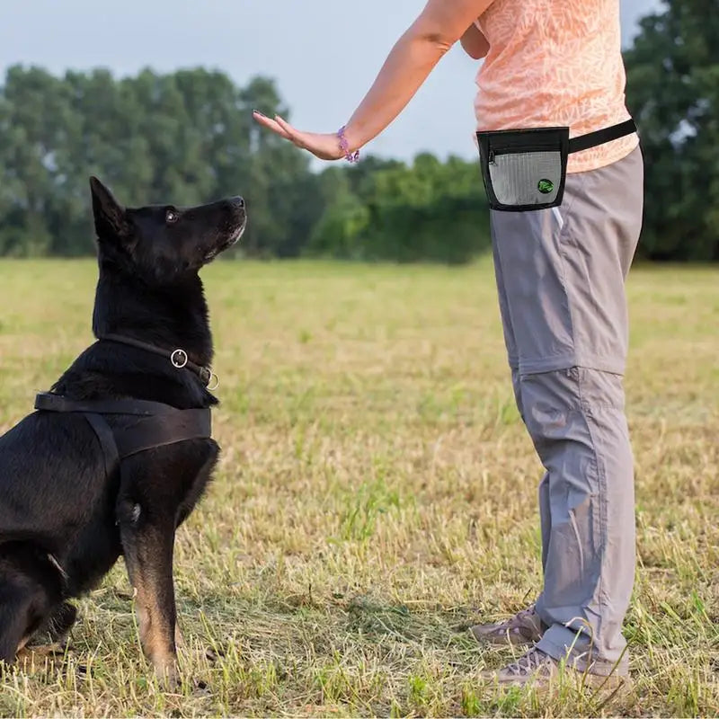 Puppy Training Dog Treat Pouch