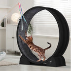 Cat Exercise Wheel for Indoor Cats,