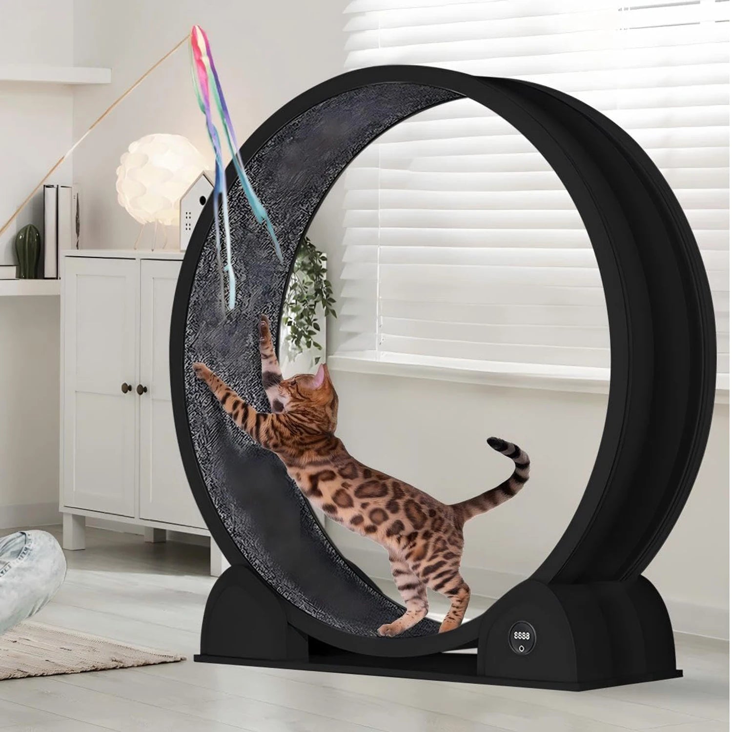 Cat Exercise Wheel for Indoor Cats,