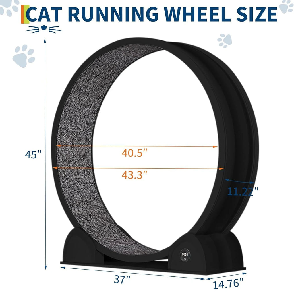 Cat Exercise Wheel for Indoor Cats,