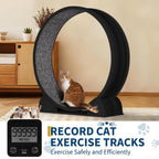 Cat Exercise Wheel for Indoor Cats,
