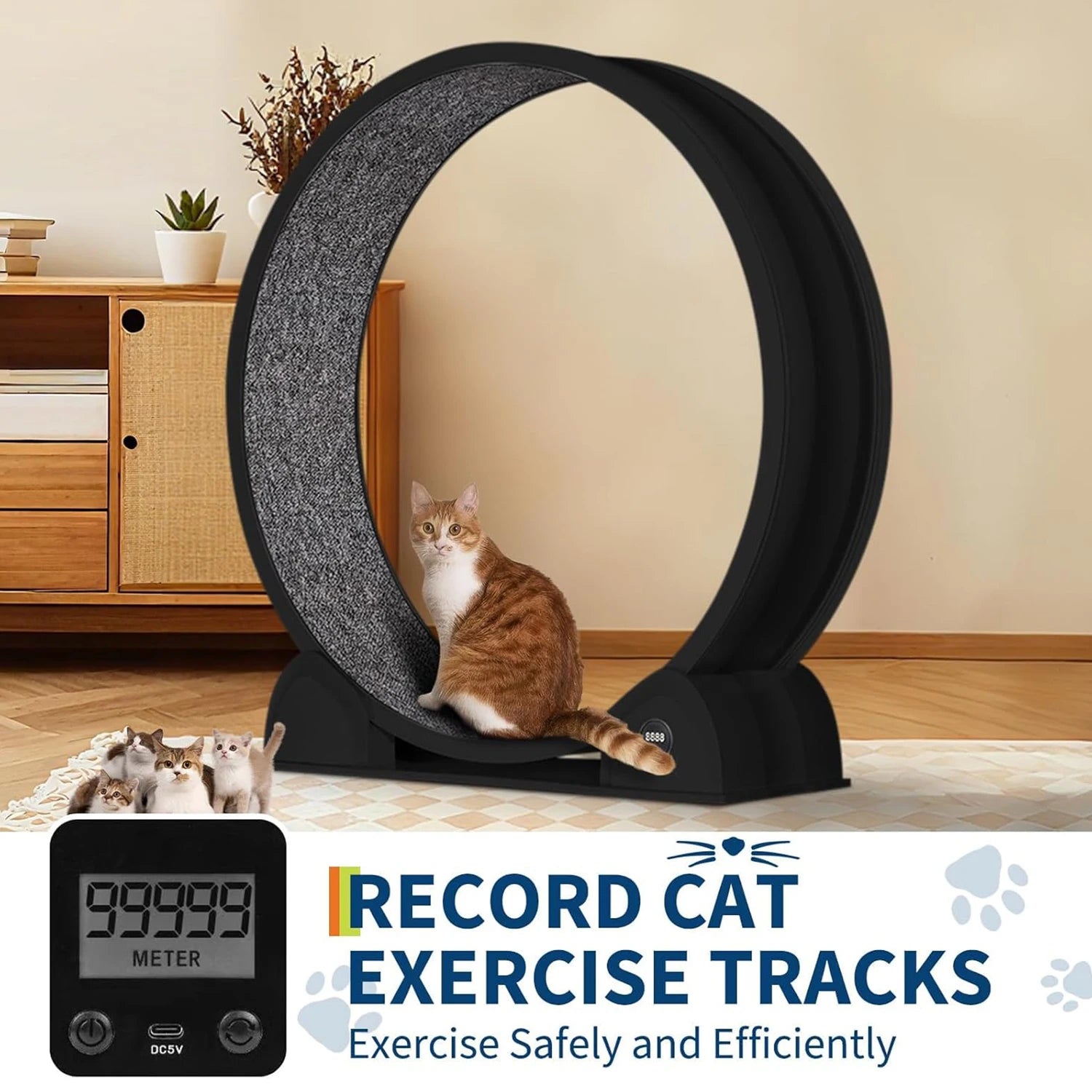 Cat Exercise Wheel for Indoor Cats,