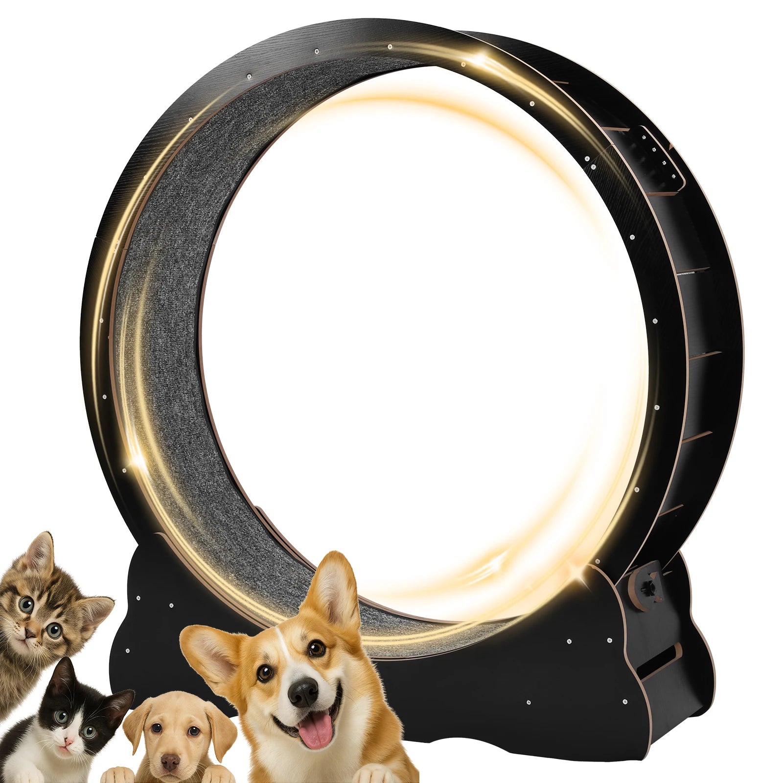 Cats Exercise Running Wheel