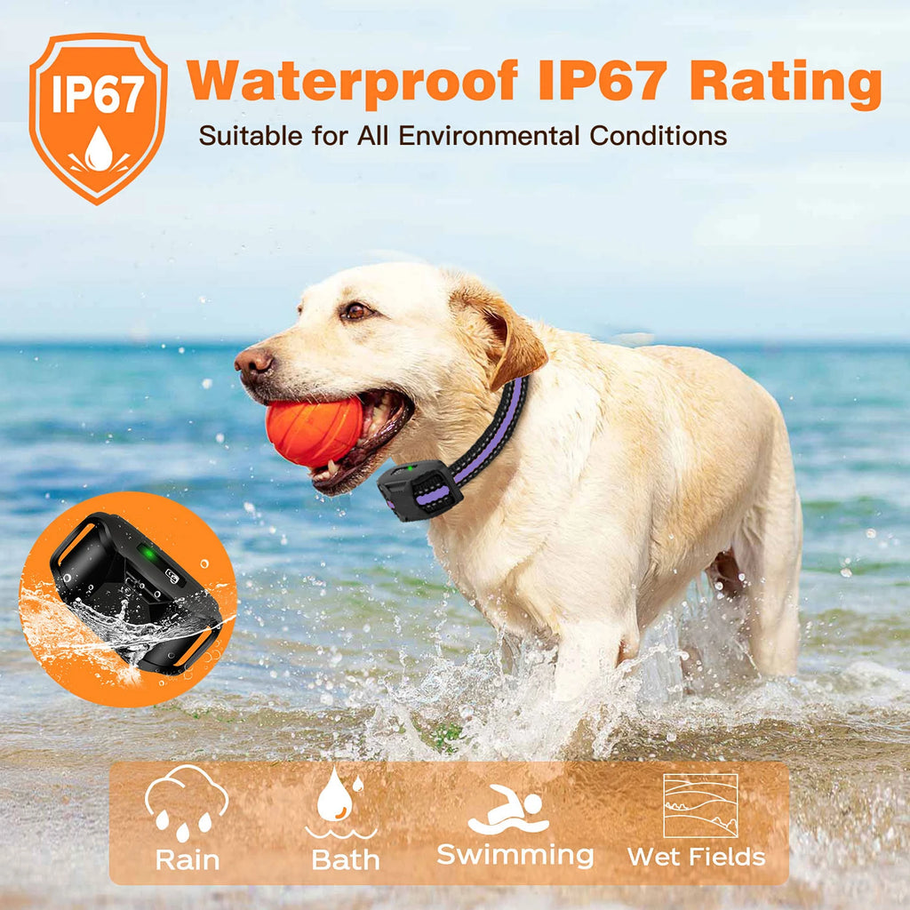 Electric Dog Training Collar For 5-120lbs