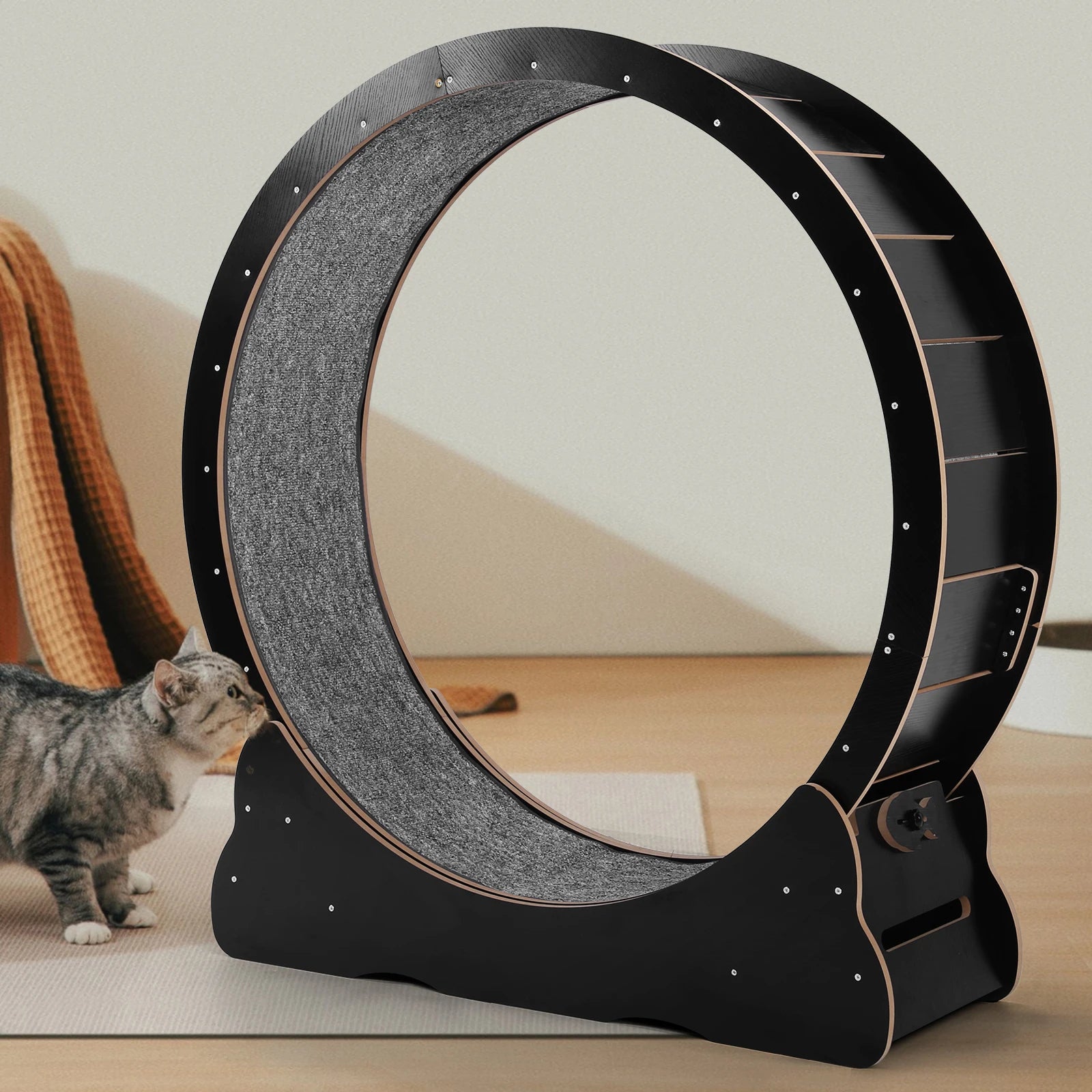 Cats Exercise Running Wheel