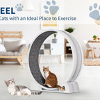 Cat Exercise Wheel for Indoor Cats,