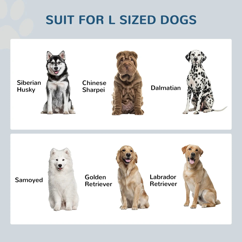PawHut Large Elevated Dog Bowls