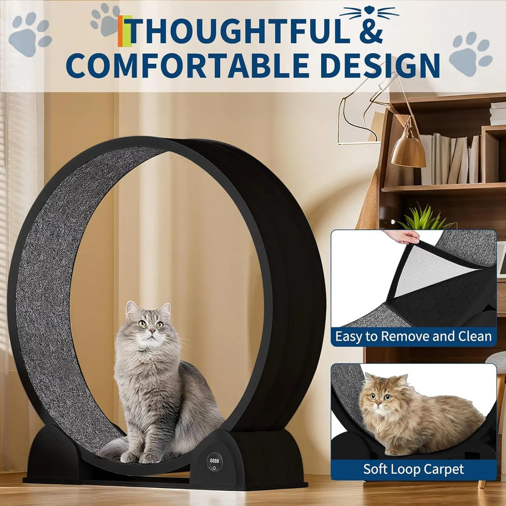 Cat Exercise Wheel for Indoor Cats,